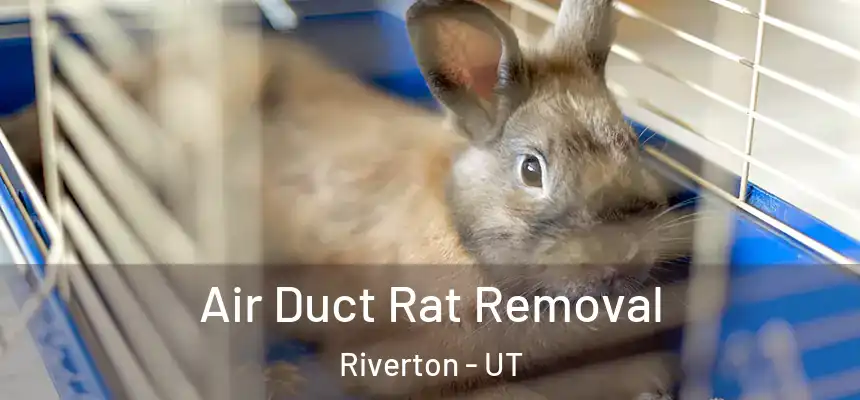  Air Duct Rat Removal Riverton - UT