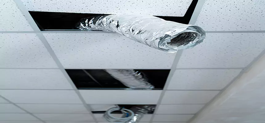 Affordable HVAC Sanitizing After Pest Removal in Riverton