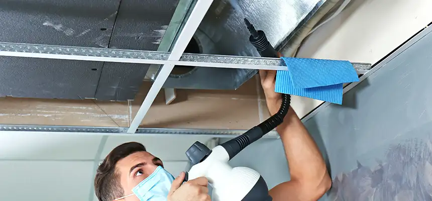 Our Air Duct Rodent Removal Services in Riverton, UT