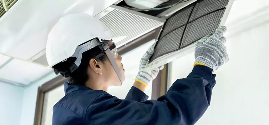 Our Mold & Mildew Removal from Air Ducts Services in Riverton, UT