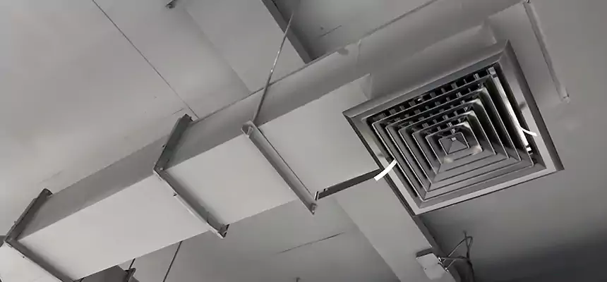 Our Rodent Droppings In Vents Services in Riverton, UT