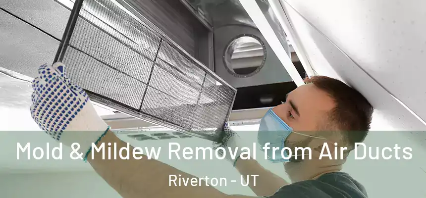  Mold & Mildew Removal from Air Ducts Riverton - UT