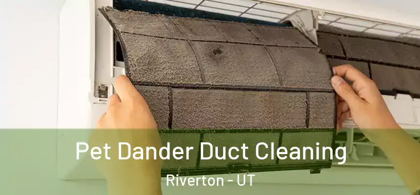 Pet Dander Duct Cleaning Riverton - UT
