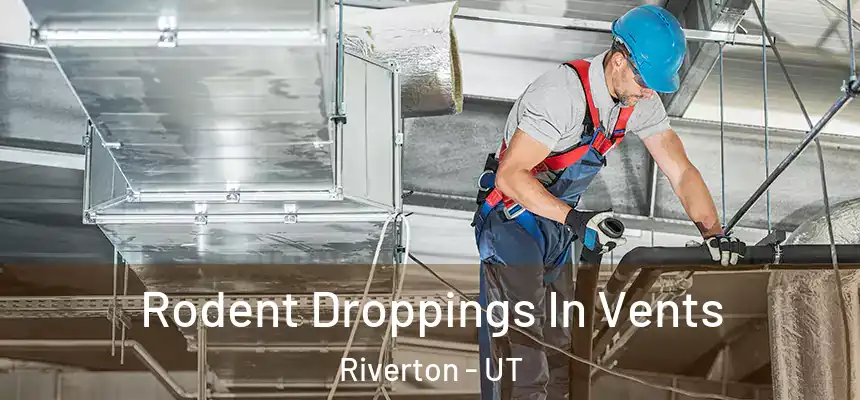  Rodent Droppings In Vents Riverton - UT