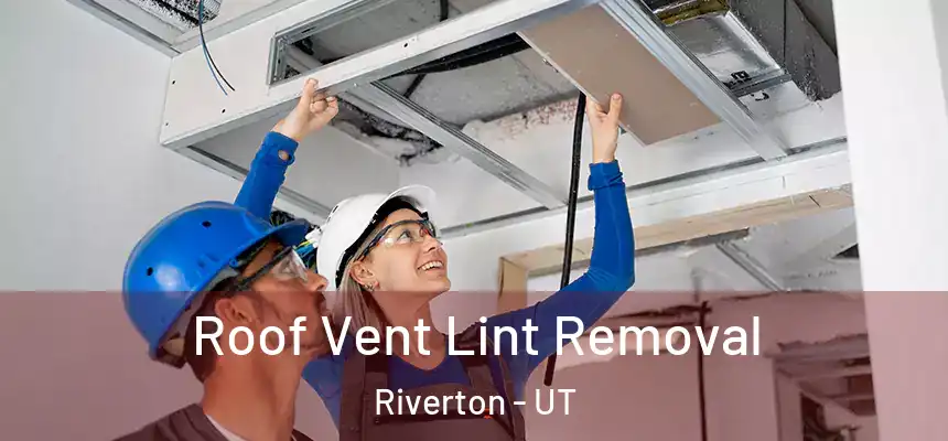  Roof Vent Lint Removal Riverton - UT