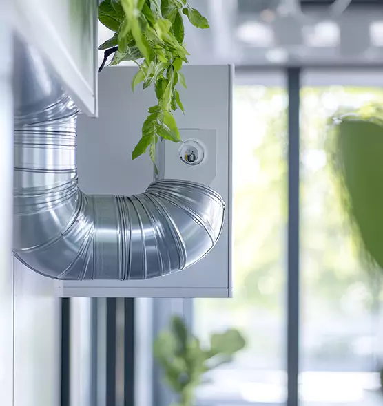 Professional Eco-Safe Dryer Vent Cleaning in Riverton, UT