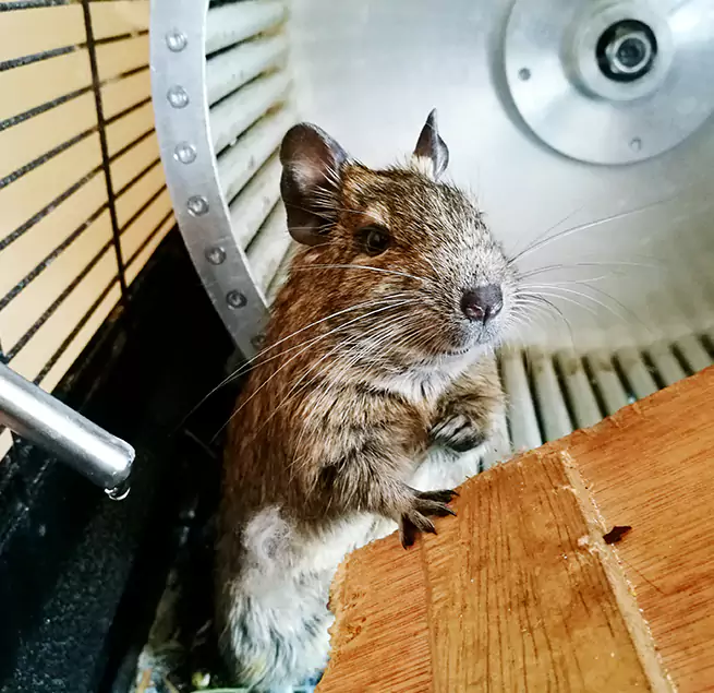 Why Homeowners & Businesses Trust Us Riverton, UT